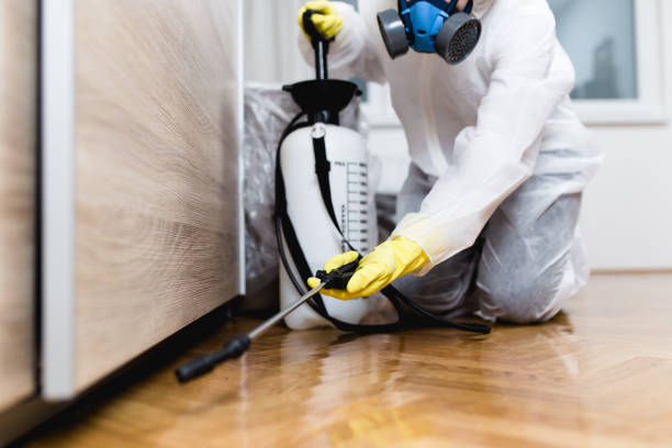 Wasp Removal Services in Moores Mill, AL