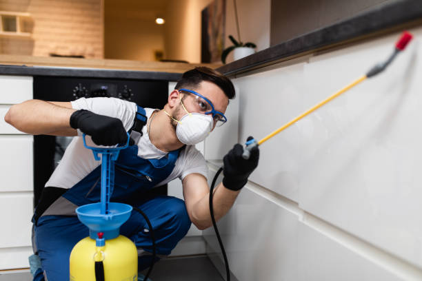 Best Pest Removal Services  in Moores Mill, AL