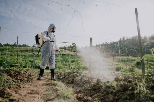 Best Ant Control Services  in Moores Mill, AL