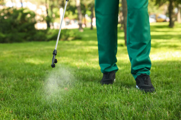 Best Cockroach Control Services  in Moores Mill, AL