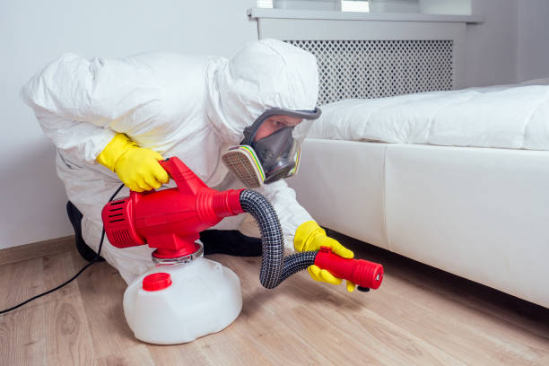 Best Mosquito Control Services  in Moores Mill, AL