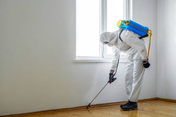 Best Residential Pest Control  in Moores Mill, AL