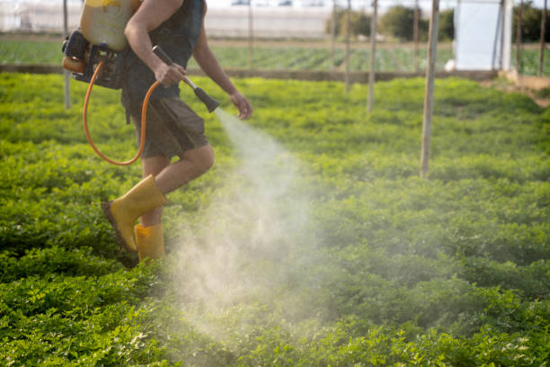 Trusted Moores Mill, AL Pest Control Experts