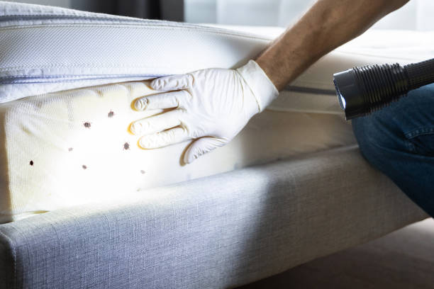 Best Best Pest Control Companies  in Moores Mill, AL