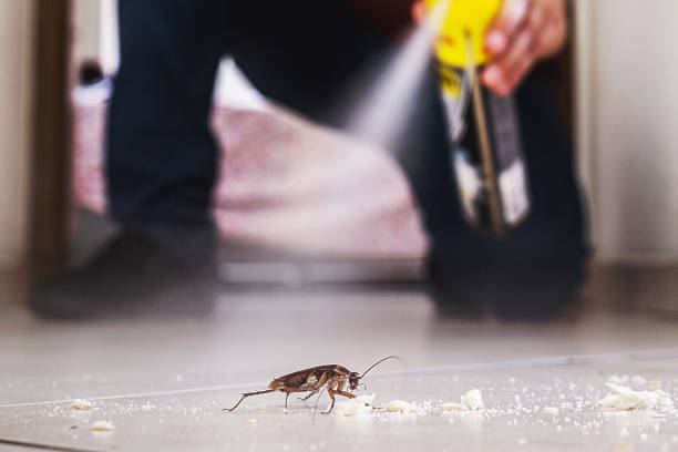 Best Affordable Pest Control Services  in Moores Mill, AL