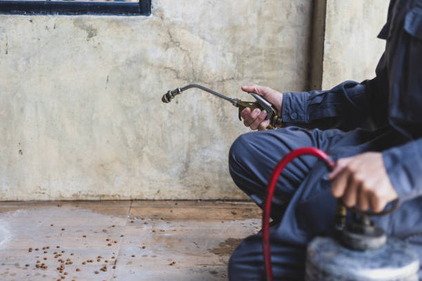 Best Mosquito Control Services  in Moores Mill, AL