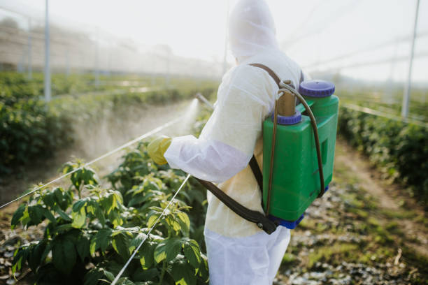 Best Local Pest Control Services  in Moores Mill, AL